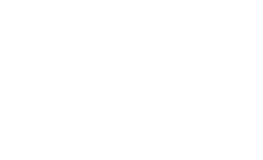 DASMASSIVHAUS